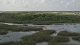 AX0030_083 - 5K aerial stock footage of flying by cluster of trees near marshland, Florida Everglades, Florida