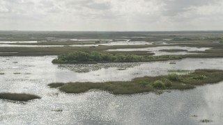 AX0030_086 - 5K aerial stock footage of flying by cluster of trees surrounded by marshland, Florida Everglades, Florida