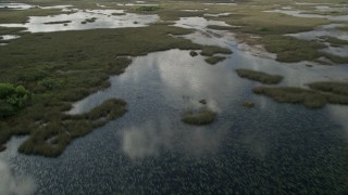 AX0030_088 - 5K aerial stock footage of flying over a marshland, Florida Everglades, Florida