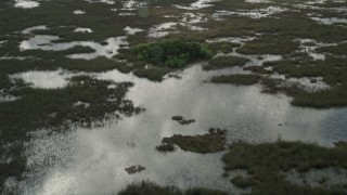AX0030_089 - 5K aerial stock footage of flying over a marshland, Florida Everglades, Florida