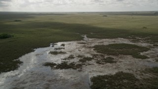 AX0030_091E - 5K aerial stock footage of flying over marshland, Florida Everglades, Florida