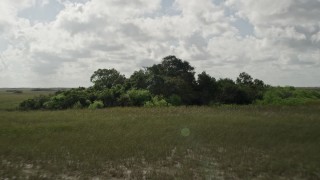 AX0030_096 - 5K aerial stock footage approach and fly over trees, reveal marshland, Florida Everglades, Florida