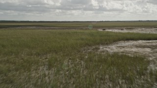 AX0030_097E - 5K aerial stock footage of flying low over marshland, Florida Everglades, Florida