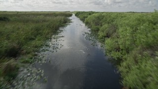 AX0030_106 - 5K aerial stock footage of following river with birds flying along the surface, Florida Everglades, Florida
