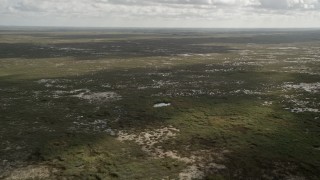 AX0030_116 - 5K stock footage aerial video of flying over marshland, wide angle view, Florida Everglades, Florida