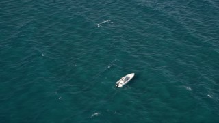 AX0032_056 - 5K aerial stock footage of approaching a speedboat, Boynton Beach, Florida
