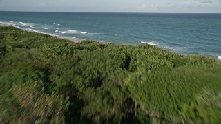 AX0032_122 - 5K aerial stock footage of John D. MacArthur Beach State Park, reveal coast, Riviera Beach, Florida