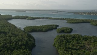 AX0032_155 - 5K aerial stock footage of flying over mangroves, Saint Lucie Inlet Preserve State Park, Stuart, Florida