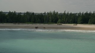 AX0033_027 - 5K aerial stock footage of tracking horseback riders on the beach along blue waters, Fort Pierce, Florida