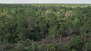 AX0034_054 - 5K aerial stock footage of flying low over forest, tilt to wider view of forest, Cocoa, Florida