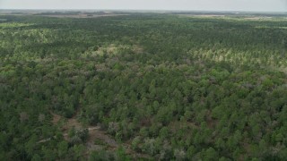AX0034_061 - 5K aerial stock footage fly over forest, La Belle, Florida
