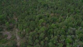 AX0034_062 - 5K aerial stock footage of flying over forests and clearings, La Belle, Florida