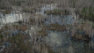 AX0035_051E - 5K aerial stock footage fly over swamp and leafless trees, Orlando, Florida