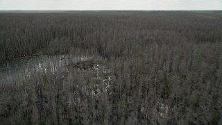 AX0035_057 - 5K aerial stock footage of flying above swamps and trees, Orlando, Florida