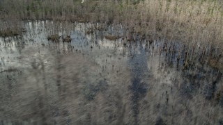 AX0035_061 - 5K aerial stock footage fly by swamps and bare trees, Orlando, Florida