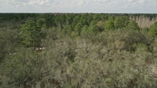 AX0035_064E - 5K aerial stock footage fly over leafless trees toward green forest, Orlando, Florida