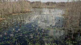 AX0035_066E - 5K aerial stock footage fly over bare trees revealing swamps, Orlando, Florida