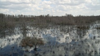 AX0035_070E - 5K aerial stock footage fly low over a swamp in Orlando, Florida