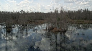 AX0035_080E - 5K aerial stock footage of swampland and leafless trees in Orlando, Florida