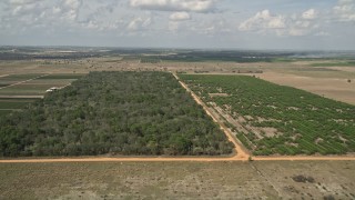 AX0035_090E - 5K aerial stock footage of approaching farmland and flying over an orchard in Clermont, Florida