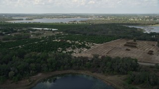 AX0035_100 - 5K aerial stock footage of passing orchard and fields on the shore of Johns Lake, Florida