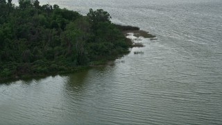 AX0035_115 - 5K aerial stock footage of a tree-covered lake shore, Lake Apopka, Florida