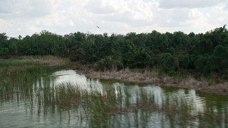 AX0035_117 - 5K aerial stock footage of birds flying along Lake Apopka, Florida