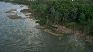 AX0035_120 - 5K aerial stock footage of passing the tree-lined shore of Lake Apopka, Florida