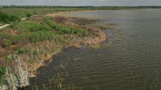 AX0035_138 - 5K aerial stock footage of flying over water near the grassy lake shore, zoom in on bird, Lake Apopka, Florida