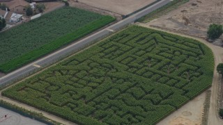 AX0157_081 - 7.6K aerial stock footage of Forneris Farms corn maze in Mission Hills, California