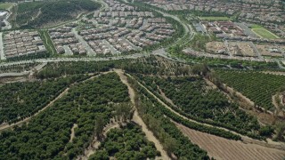AX0159_165 - 7.6K stock footage aerial video flying over orange grove orchards toward tract homes, Irvine, California