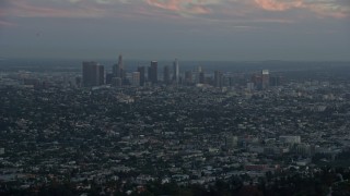 AX0162_106 - 7.6K aerial stock footage flying over hilltop palm trees to reveal Downtown Los Angeles, California at twilight