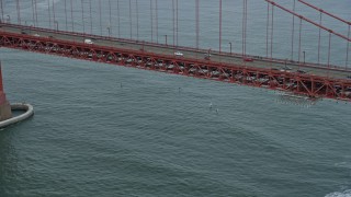 AX0173_0058 - 6K aerial stock footage of windsurfers near the iconic Golden Gate Bridge, San Francisco, California