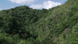 AX101_058 - 4.8K aerial stock footage Flying through lush dense trees, Karst Forest, Puerto Rico