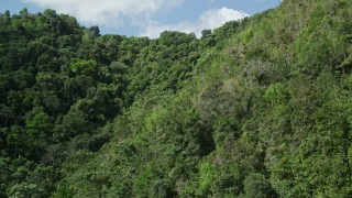 AX101_058E - 4.8K aerial stock footage Flying over lush green trees, Karst Forest, Puerto Rico