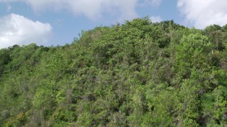 AX101_060 - 4.8K aerial stock footage Flying over lush green trees, Karst Forest, Puerto Rico