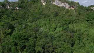AX101_061 - 4.8K aerial stock footage of Lush dense forest approaching rocky slope, Karst Forest, Puerto Rico