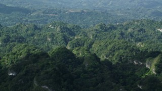 AX101_064 - 4.8K aerial stock footage of Lush green trees, Karst Forest, Puerto Rico