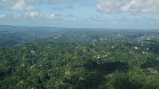 AX101_067E - 4.8K aerial stock footage Flying over the tops of lush green forests, Karst Forest, Puerto Rico