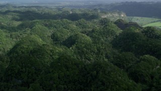 AX101_074 - 4.8K aerial stock footage Panning the tops of lush green trees of the jungle, Karst Forest, Puerto Rico 
