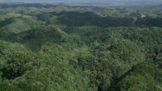 AX101_075 - 4.8K aerial stock footage of Lush green trees of the jungle, Karst Forest, Puerto Rico 
