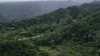 AX101_077 - 4.8K aerial stock footage of a Highway cutting through lush green forests, Karst Forest, Puerto Rico 