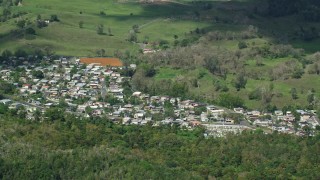 AX101_126E - 4.8K aerial stock footage of a Small rural neighborhood nestled among trees Arecibo, Puerto Rico