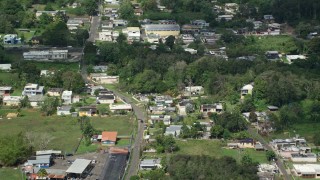 AX101_130E - 4.8K aerial stock footage of Rural homes surrounded by trees, Arecibo, Puerto Rico