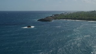 AX101_159 - 4.8K aerial stock footage of Clear blue water along a tree lined coast, Arecibo, Puerto Rico 