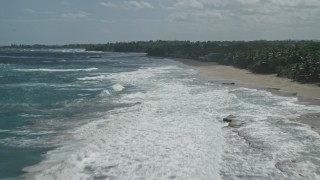 AX101_177E - 4.8K aerial stock footage of beach and tree lined coast along crystal blue waters, Arecibo, Puerto Rico