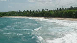 AX101_188 - 4.8K aerial stock footage Flying over a beach and palm trees along crystal blue waters,  Manati, Puerto Rico 