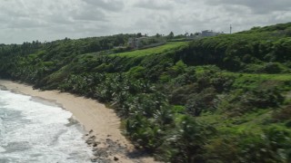 AX101_191 - 4.8K aerial stock footage of Lush vegetation along a beach, Manati, Puerto Rico 