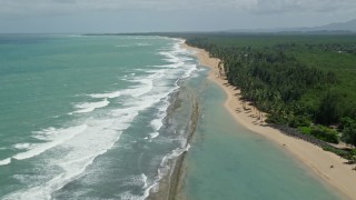 AX102_019 - 4.8K aerial stock footage of Tree lined beach and clear turquoise water, Loiza, Puerto Rico 