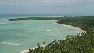 AX102_025 - 4.8K aerial stock footage of a Beach lined by trees and turquoise water, Loiza, Puerto Rico